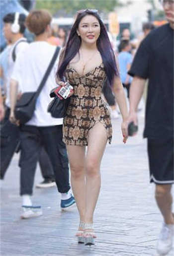 《顶楼大象》免费看