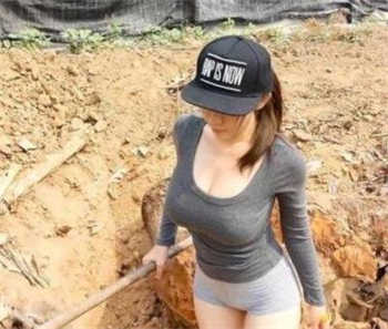 mnominv猫咪官网