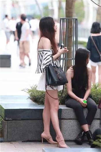 白少洁和高校长txt