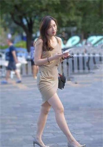 白莲花社区老梦