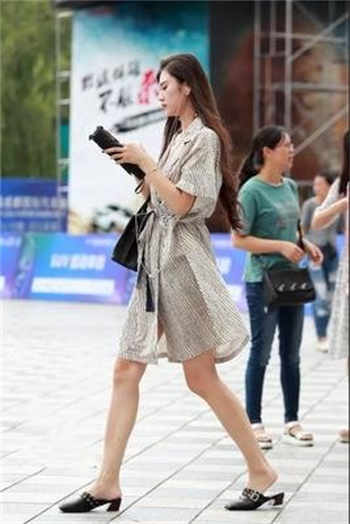 房东的猫美丽女人