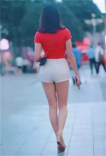 yanmaoder人情偿还系统10